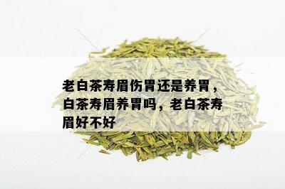 老白茶寿眉伤胃还是养胃，白茶寿眉养胃吗，老白茶寿眉好不好