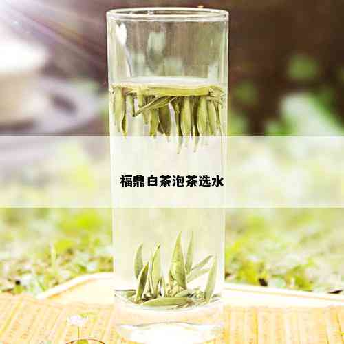 福鼎白茶泡茶选水