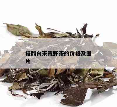 福鼎白茶荒野茶的价格及图片