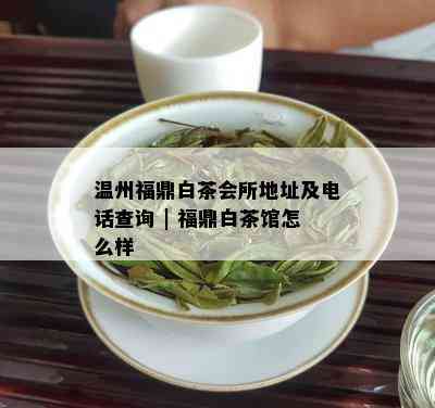 温州福鼎白茶会所地址及电话查询 | 福鼎白茶馆怎么样