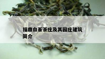 福鼎白茶茶庄及其园庄建筑简介