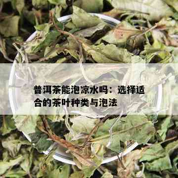 普洱茶能泡凉水吗：选择适合的茶叶种类与泡法