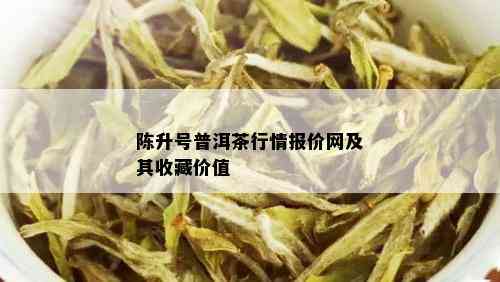 陈升号普洱茶行情报价网及其收藏价值