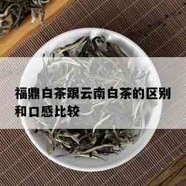 福鼎白茶跟云南白茶的区别和口感比较