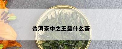 普洱茶中之王是什么茶