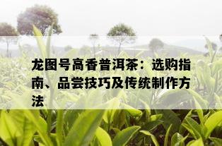 龙图号高香普洱茶：选购指南、品尝技巧及传统制作方法