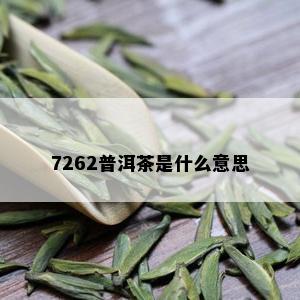 7262普洱茶是什么意思