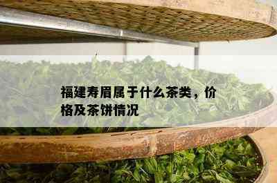 福建寿眉属于什么茶类，价格及茶饼情况