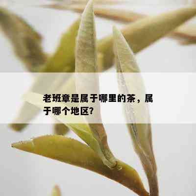 老班章是属于哪里的茶，属于哪个地区？