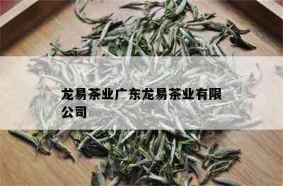 龙易茶业广东龙易茶业有限公司