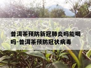 普洱茶预防新冠肺炎吗能喝吗-普洱茶预防冠状病