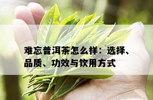 难忘普洱茶怎么样：选择、品质、功效与饮用方式