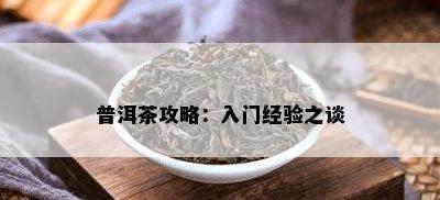 普洱茶攻略：入门经验之谈