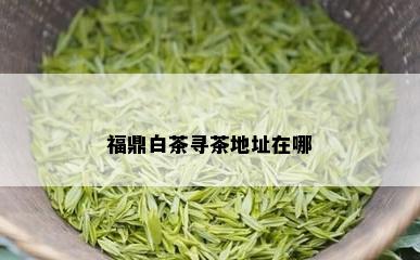 福鼎白茶寻茶地址在哪