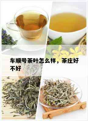 车顺号茶叶怎么样，茶庄好不好