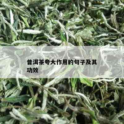 普洱茶夸大作用的句子及其功效