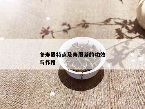 冬寿眉特点及寿眉茶的功效与作用