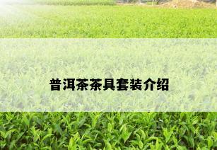 普洱茶茶具套装介绍