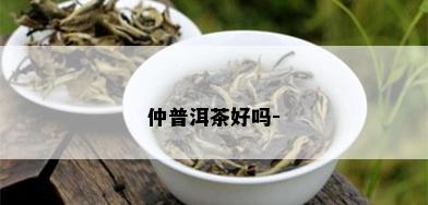 仲普洱茶好吗-