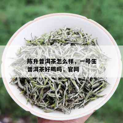 陈升普洱茶怎么样，一号生普洱茶好喝吗，官网