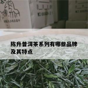 陈升普洱茶系列有哪些品牌及其特点