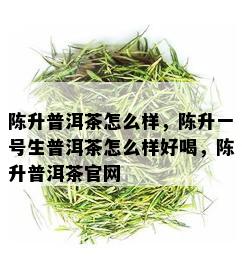 陈升普洱茶怎么样，陈升一号生普洱茶怎么样好喝，陈升普洱茶官网