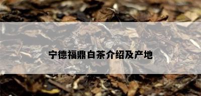 宁德福鼎白茶介绍及产地