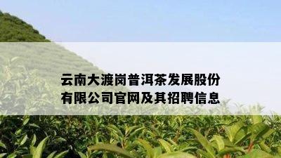 云南大渡岗普洱茶发展股份有限公司官网及其招聘信息