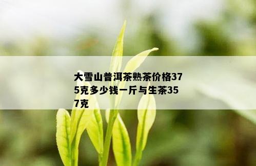 大雪山普洱茶熟茶价格375克多少钱一斤与生茶357克