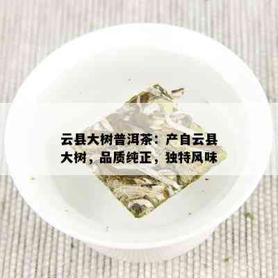 云县大树普洱茶：产自云县大树，品质纯正，独特风味