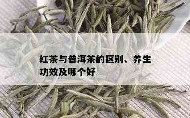 红茶与普洱茶的区别、养生功效及哪个好