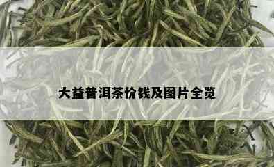 大益普洱茶价钱及图片全览