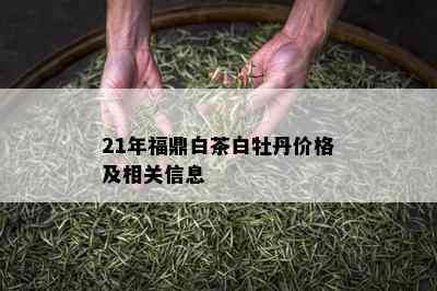 21年福鼎白茶白牡丹价格及相关信息