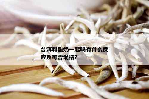 普洱和酸奶一起喝有什么反应及可否混搭？