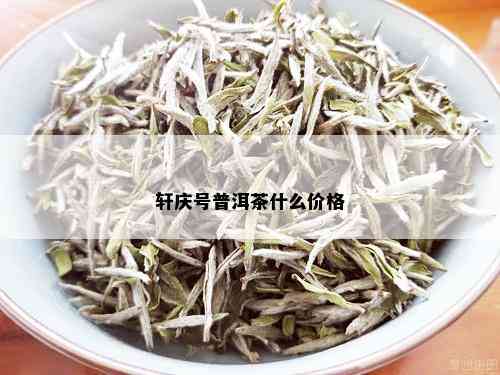 轩庆号普洱茶什么价格