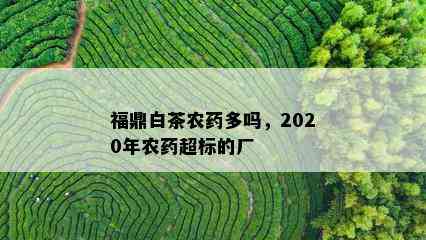 福鼎白茶农药多吗，2020年农药超标的厂