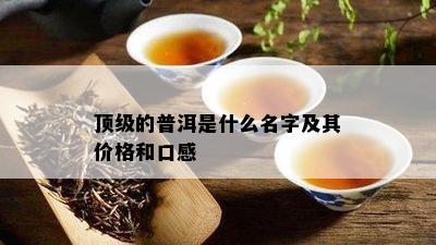 顶级的普洱是什么名字及其价格和口感