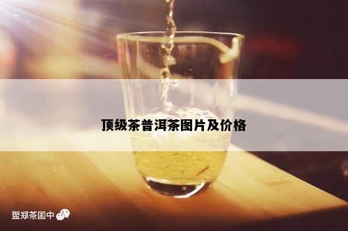 顶级茶普洱茶图片及价格