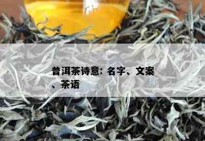 普洱茶诗意: 名字、文案、茶语