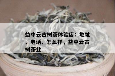 益中云古树茶体验店：地址、电话、怎么样，益中云古树茶业