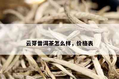 云芽普洱茶怎么样，价格表