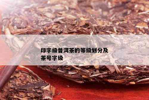 印字级普洱茶的等级划分及茶号字级