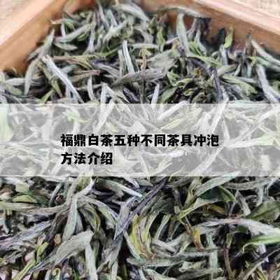 福鼎白茶五种不同茶具冲泡方法介绍