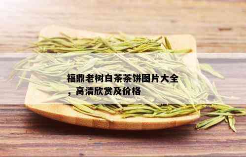 福鼎老树白茶茶饼图片大全，高清欣赏及价格