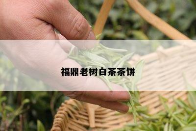 福鼎老树白茶茶饼