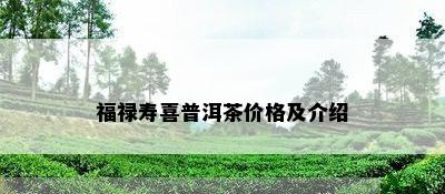 福禄寿喜普洱茶价格及介绍