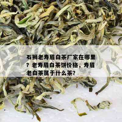 石狮老寿眉白茶厂家在哪里？老寿眉白茶饼价格，寿眉老白茶属于什么茶？