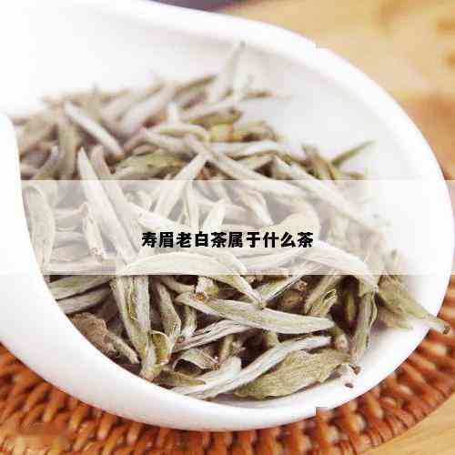 寿眉老白茶属于什么茶