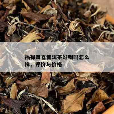 福禄双喜普洱茶好喝吗怎么样，评价与价格