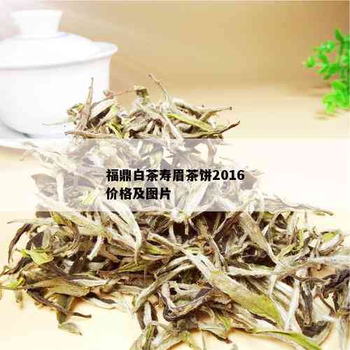 福鼎白茶寿眉茶饼2016价格及图片